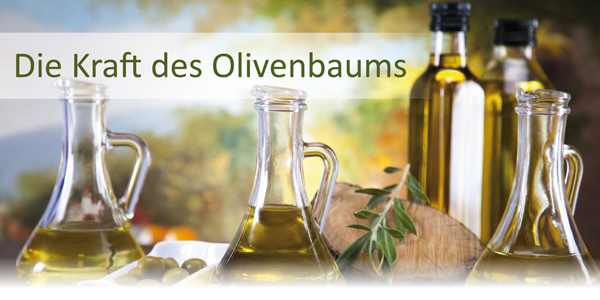 Gesundheitliche Wirkungen des Olivenbaums